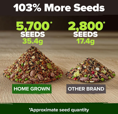 10 2000+ HOME GROWN Variety Survival Seed Vault USA Grown Heirloom Non-GMO Vegetable Seeds for Planting, High