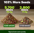 10 2000+ HOME GROWN Variety Survival Seed Vault USA Grown Heirloom Non-GMO Vegetable Seeds for Planting, High