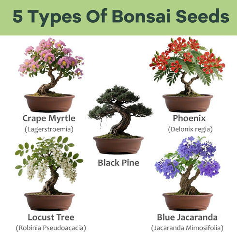 LUOJIBIE Bonsai Tree Kit for Beginners - Unique DIY Japanese Bonsai Trees,Crafts for Adults, Ideal Gardening Birthday