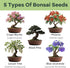 LUOJIBIE Bonsai Tree Kit for Beginners - Unique DIY Japanese Bonsai Trees,Crafts for Adults, Ideal Gardening Birthday