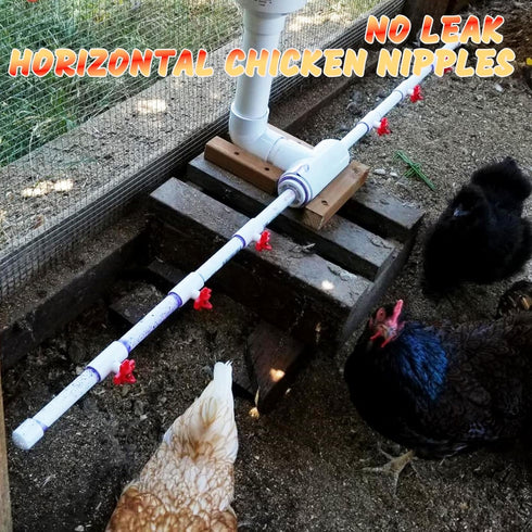 (12 Pack) 1/2'' Horizontal Chicken Waterer Nipples with PVC Tee Fittings for DIY Automatic Chicken Waterering System