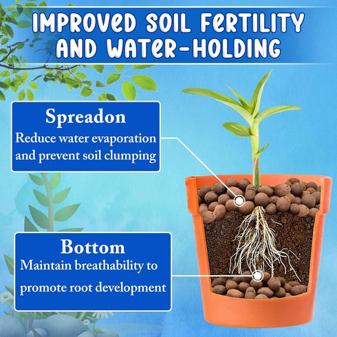 10LBS ZeeDix Lightweight Expanded Clay Pebbles - pH-Balanced Hydroponic Growing Media for Aquaponics & Indoor Plants