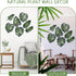 7 Namalu Pcs Tropical Wall Decor Jungle Monstera Wall Art Boho Palm Leaf Wooden Decoration Tropical Nursery Decor