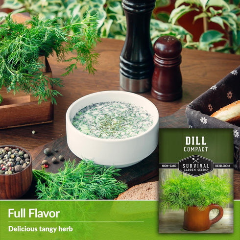 (1 Pack) Compact Dill Seeds for Planting Dwarf Dill for Containers & Small-Space Gardens High Germination Heirloom