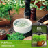(1 Pack) Compact Dill Seeds for Planting Dwarf Dill for Containers & Small-Space Gardens High Germination Heirloom
