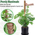 CHIAFFI 2 Pack 21 Inch 37 Inch Moss Poles, Stackable Moss Pole for Plants Monstera, Tall Moss Poles for Climbing Plants