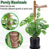 CHIAFFI 4 Pack 22 Inch 70 Inch Moss Poles, Stackable Moss Pole for Plants Monstera, Tall Moss Poles for Climbing Plants