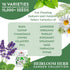 Pack, 16 15,000+ Burpee Heirloom Herb Seeds Variety Non-GMO, Herbs - Seeds with Basil, Chives, Catnip, Chamomile