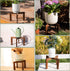 2 Pack 5-15 Inch HPC DECOR Wood Plant Stand-Mid Century Modern Planter Stands-Wooden Flower Pot Stands Riser,Low Short