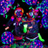 10000 Pieces UV Neon Confetti - Blacklight Glow Party Confetti in 5 Colors for Wedding, Bachelorette, Birthday