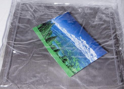 10-Pack Clear Vinyl Storage Bags with Display Pocket, 9 x 11 x 2 Inch