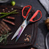 LIVINGO Sharp Kitchen Scissors for Food, Titanium Coated Forged Stainless Steel Heavy Duty Shears, 9 Inches