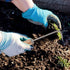 YARNOW Manual Weeder Tool, Garden Weeder Single Hook Weeder (Black)