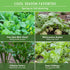 Survival Garden Seeds - Asian Vegetable Collection Seed Vault for Planting - Thai Basil, Napa Cabbage, Canton Pak Choi