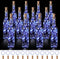 Rtteri 12 Sets Small Empty Wine Bottles with Cork Lights Centerpiece and