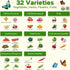 4 32 Lush&Dew Year-Round USDA Zone Seed Bank, Varieties Non-GMO Heirloom Seeds of Vegetables, Herbs, Gardening Gifts