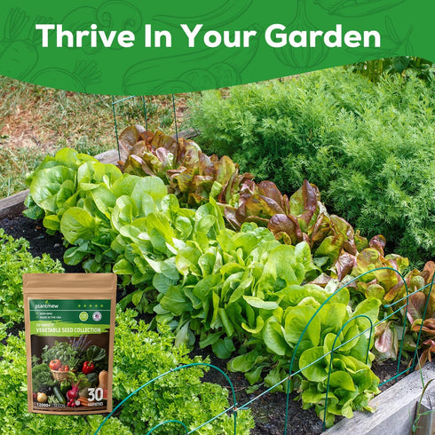 30 12,000+ Heirloom Vegetable Seeds for Planting, Garden Seeds - Non-GMO Vegetable, Herb, Fruit Seeds - Survival Seed