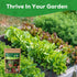 30 12,000+ Heirloom Vegetable Seeds for Planting, Garden Seeds - Non-GMO Vegetable, Herb, Fruit Seeds - Survival Seed