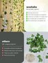 Lights,23ft 73LED woohaha Vine with Fairy Ivy String Light with Battery Operated,Leaf Light for Bedroom, Room, Wall
