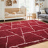 5x7 Area Rugs for Living Room Bedroom, Washable Non-Slip Feet Red White Throw Rug, Soft Plush Shaggy Fluffy Geometric
