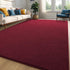 Burgundy Red Area Rugs for Bedroom Living Room, 4x6 Feet Indoor Memory Foam Rug, Modern Washable Shag Carpets
