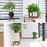 2.5-6 inch Vigordream Plant Stand, Indoor/Outdoor Wood Plant Holder, Single Flower Pot Stand, Sturdy Planter Stands