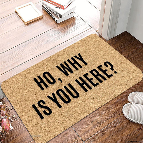 Welcome Mats for Front Door Outdoor Entry, Funny "Why is You Here" Doormat, Non-Slip Kitchen Rugs (16x24 Inch)