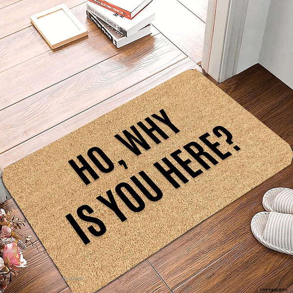 Welcome Mats for Front Door Outdoor Entry, Funny "Why is You Here" Doormat, Non-Slip Kitchen Rugs (16x24 Inch)