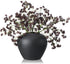 Thiccywoov 3 Pcs Plum Faux Berry Stems Artificial Dusty Sedum Berry Stems Picks