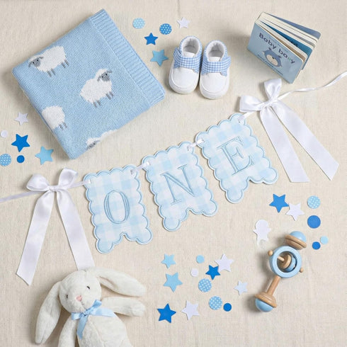 VitalCozy 1st Blue One High Chair Banner for Girls Boys First Birthday High Chair Banner Sweet One Bow Floral Garland
