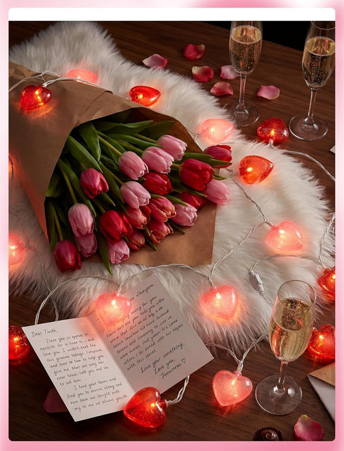 8.5FT 14 IP44 Heart String Lights Plug in, Valentine Lights Indoor & Outdoor, Red Pink Heart Shaped String Lights