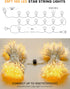 syosupviry in,39ft 100LED Star String Lights Plug Fairy Lights with Remote, Hanging Star Decorations Lights Waterproof