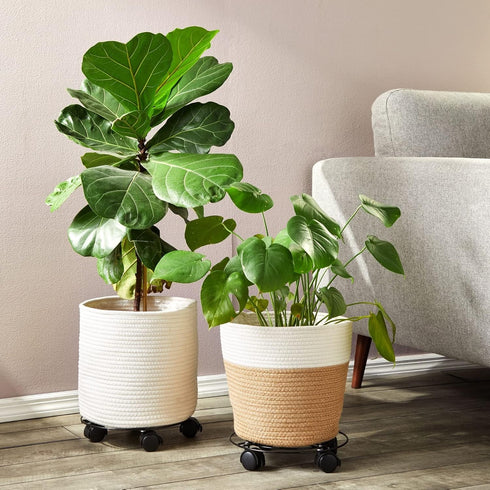 10.6 Pack 4, 360-Degree Bright Creations Plant Stand with Wheels - in Diameter, Black, of Modern - Metal Rolling Plant