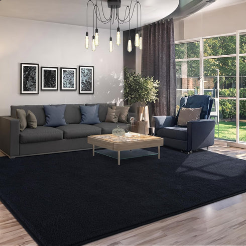 AROGAN 4x6 Feet Modern Shag Area Rug for Bedroom, Plush Memory Foam Bedside Rug, Washable Indoor Carpet Decor, Black