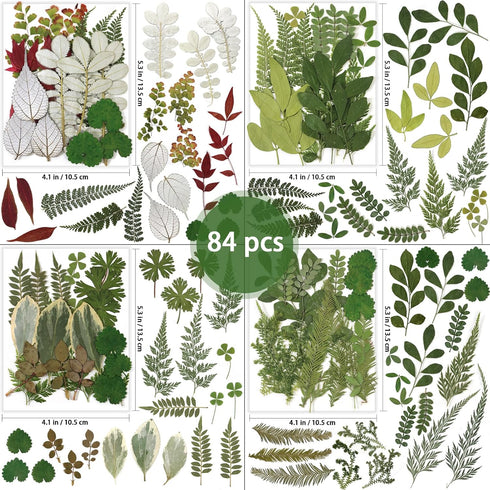 84 Pcs Dried Pressed Leaves Flowers Real Natural Dried Leaves Plant Kit Assorted Dried Greenery for Resin Art DIY Crafts Party Decorations Bookmarks Scrapbooking Candle Soap Making, 20 types