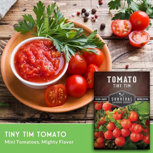 (3 Packs) Tiny Tim Tomato Seeds - Dwarf Cherry Tomatoes for Planting Indoors or Patio, Compact Heirloom Variety