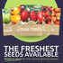 Pack 17 Packs 2026 Organic Tomato Ultimate Seed Variety - Individual - Season - Black Krim, Golden Jubilee, Cherokee