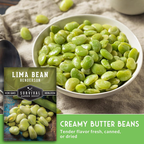 (5 Packs) Lima Bean Seeds for Planting Henderson Butter Bean Seeds for Gardens & Classroom Science Projects, Easy