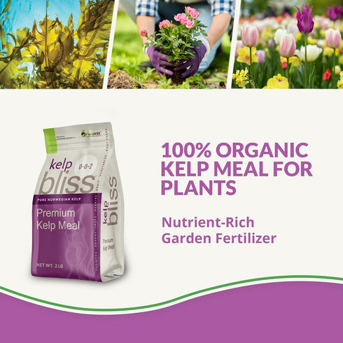 (2lbs) 100% Kelp Meal Organic Fertilizer - Kelp Fertilizer for Plants, Garden Soil, Flowers, Vegetables, & Lawns