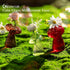 Set 5 Glasseam Mushroom Plant Propagation Stations: Cute Glass Terrarium Jar Propagation Vase of Hydroponic Planters