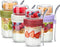 Danmu 4 Pack Overnight Oats Containers with Lids 16 oz,Dual-Layer Yogurt Parfait