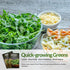 5 Packs Survival Garden Seeds - Arugula Seeds for Planting - with Instructions to Grow Garden Rocket Green Leafy