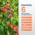 HiThrive 32oz 32 Peach Plant Fertilizer - Makes Gallons of Peach Tree Fertilizer for Peaches, Liquid Plant Food