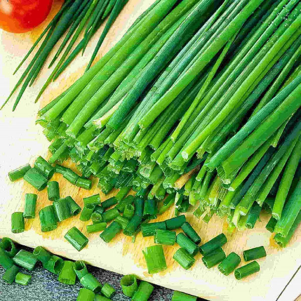 Garlic Chive Seeds, Herb, Heirloom, Non GMO, 50+Seeds, Great Fresh or Dried