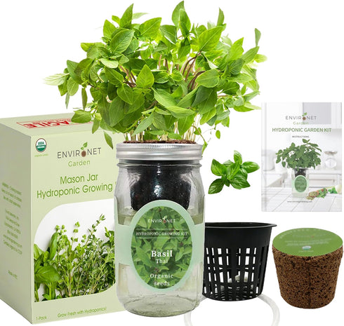 Hydroponic Herb Growing Kit, Self-Watering Mason Jar Herb Garden Starter Kit Indoor, Windowsill Herbs Garden, Grow Your