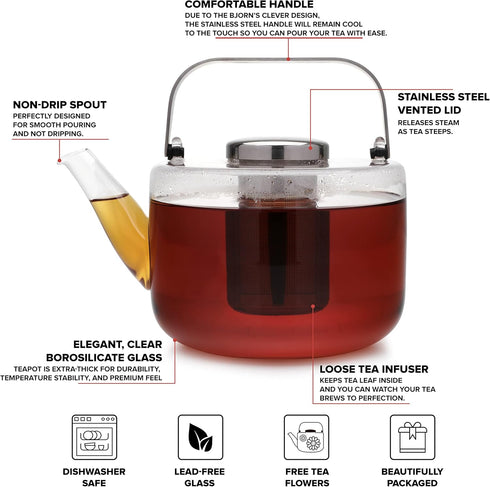 40 ounce/1.18 Viva Bjorn Borosilicate Glass Tea Pot for Stovetop with Loose Leaf Tea Infuser Mesh - Liter - Modern