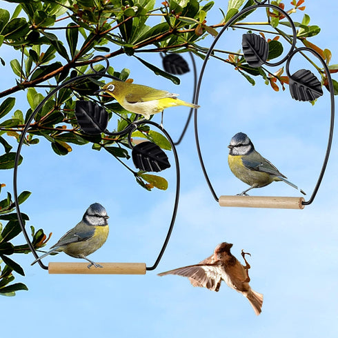 winemana Set of 3 Hummingbird Swings, Rust Resistant Metal Frame, Perfect for Hanging Indoor or Outdoor
