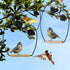 winemana Set of 3 Hummingbird Swings, Rust Resistant Metal Frame, Perfect for Hanging Indoor or Outdoor