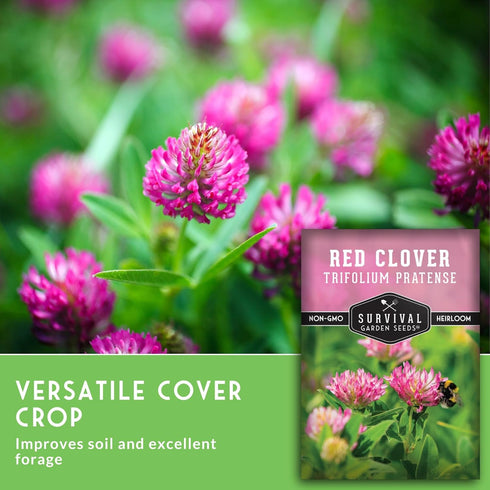 (1 Pack) Red Clover Seeds for Planting Nitrogen-Fixing Cover Crop & Ground Cover for Soil Building and Pollinators