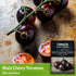 (1 Pack) Black Cherry Tomato Seeds for Planting Indeterminate Heirloom Non-GMO Variety Grow High Yields of Deep